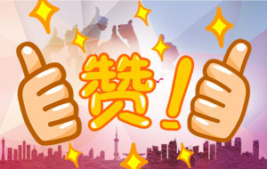 客戶盛贊：“你們的服務態(tài)度真是行業(yè)******！”